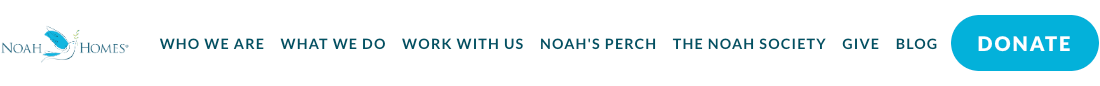 Noah Homes Inc.